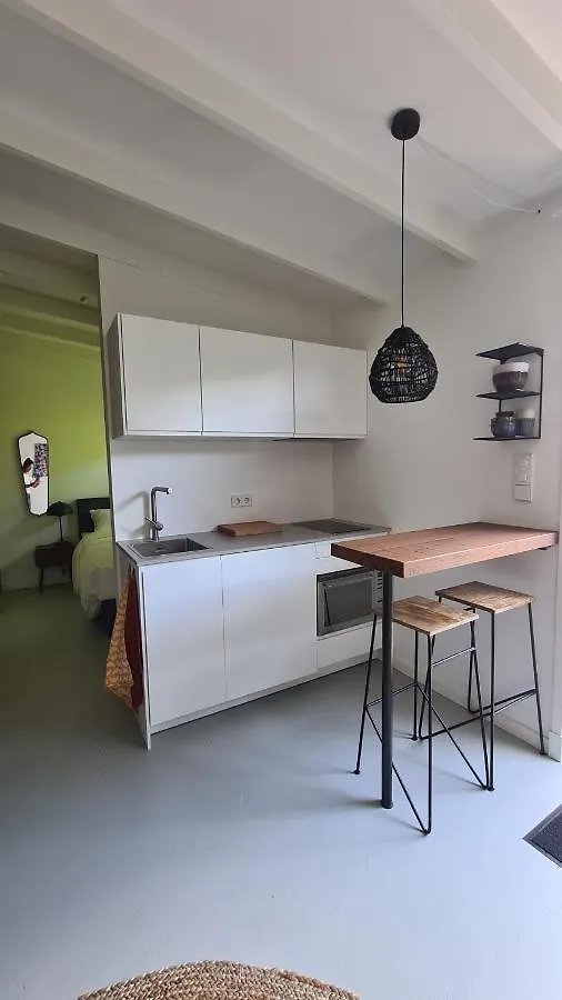 Koninginnehuis 35 Zandvoort Apartamento